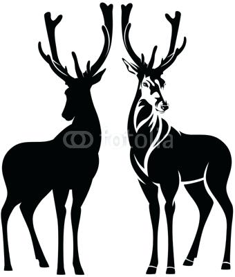 340x400 Deer Outline Female Deer Outline Drawing