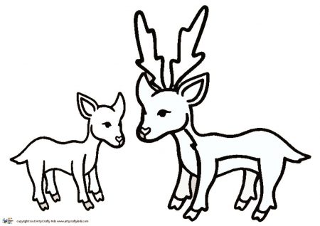 450x318 red deer outline arty crafty kids