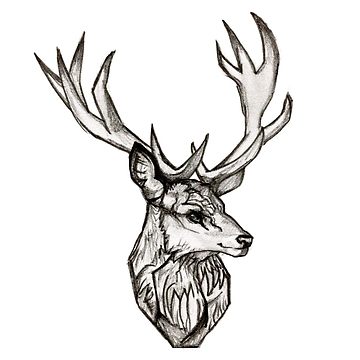 360x360 pencil drawn stag design leggings