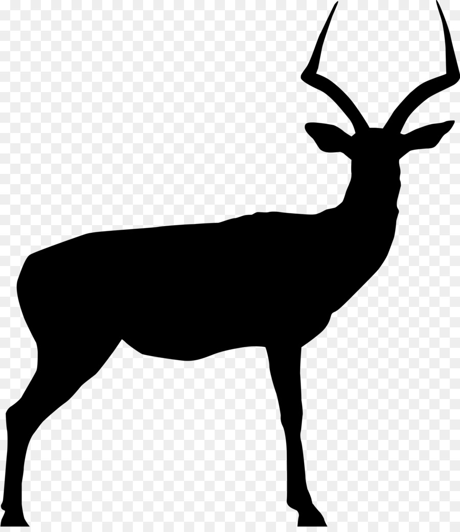 900x1040 Deer, Drawing, Silhouette, Transparent Png Image Clipart Free
