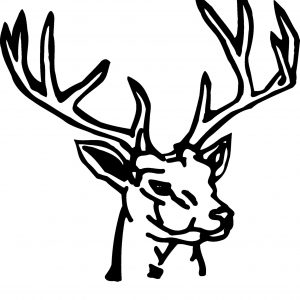 300x300 Deer Outline Best Deer Drawing Outline At Getdrawings