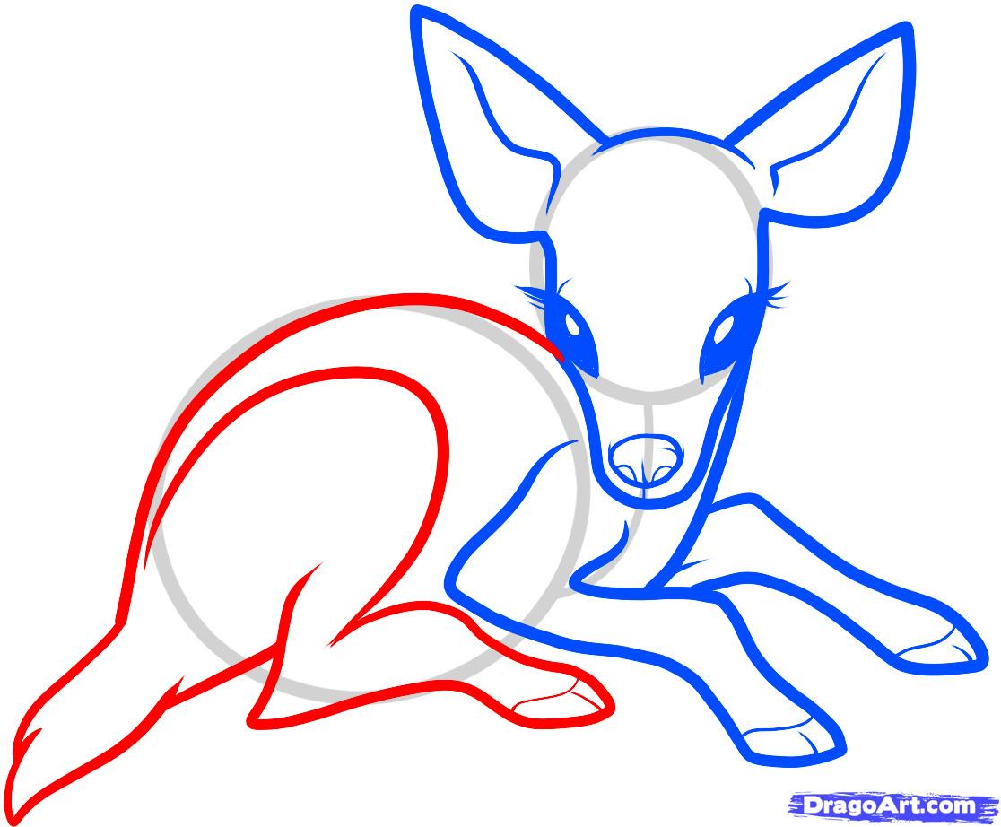 1116x922 How To Draw A Baby Deer, Baby Deer, Step