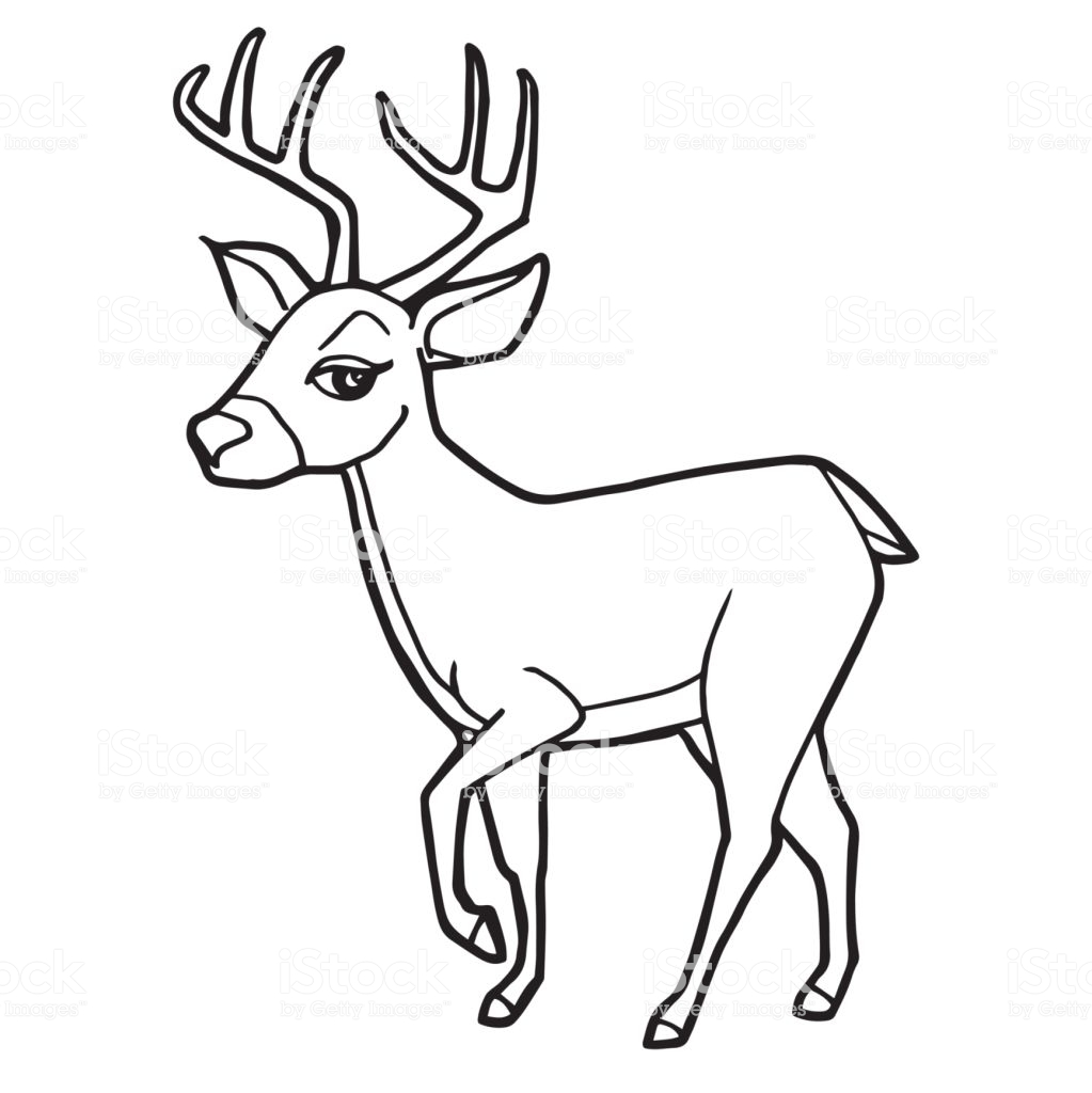 1023x1024 Huge Collection Of 'cute Deer Drawing' Download More Than