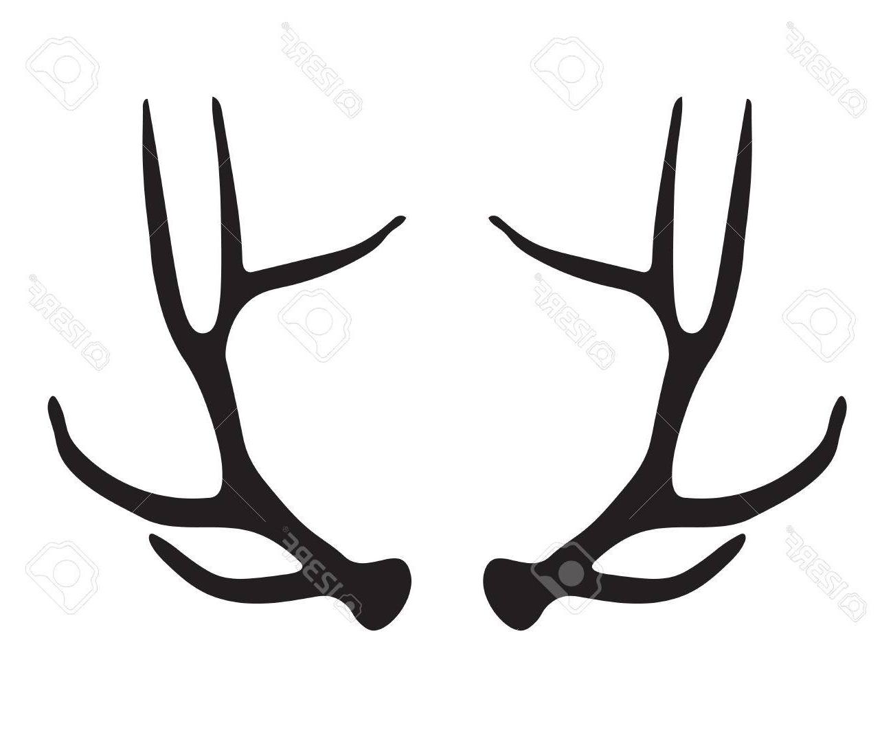 1300x1063 Huge Collection Of 'deer Antler Drawing' Download More Than