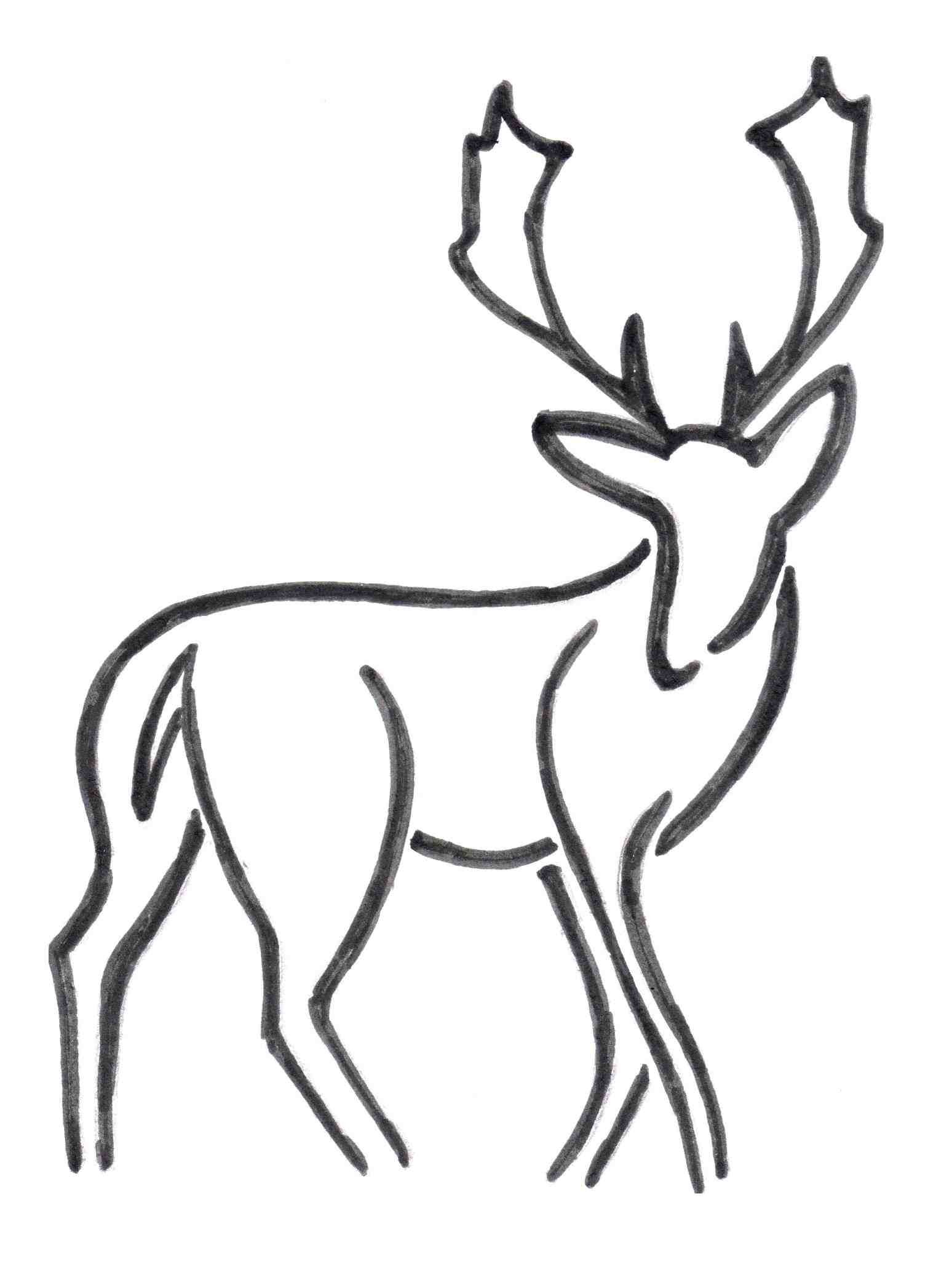 1548x2054 Simple Deer Drawing