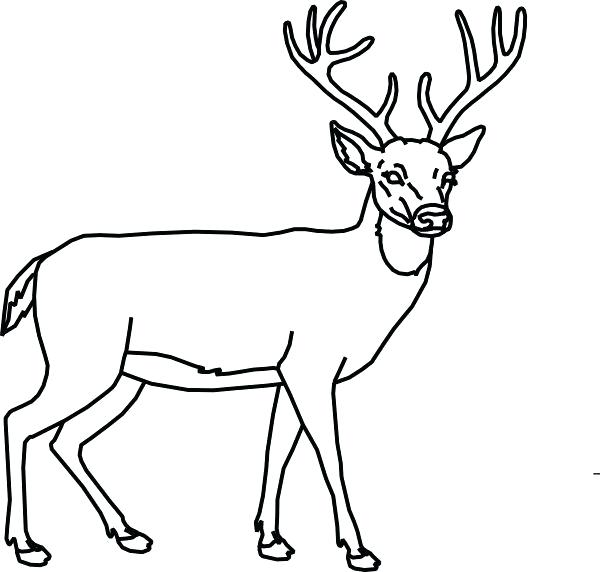 600x572 Deer Outline Deer Outline Face