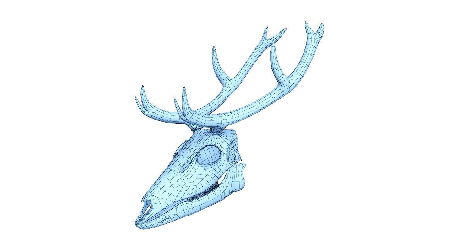 1480x800 Deer Skull Skeleton Cgtrader