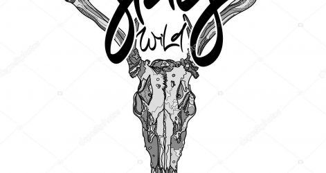 471x250 Desert Animal Skull Drawing Line Easy Art Tattoo With Flowers