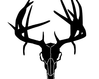 340x270 Deer Skull Drawing Etsy
