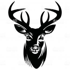 300x300 Hd Easy Pencil Drawings Of Deer Vector Photos Sohadacouri
