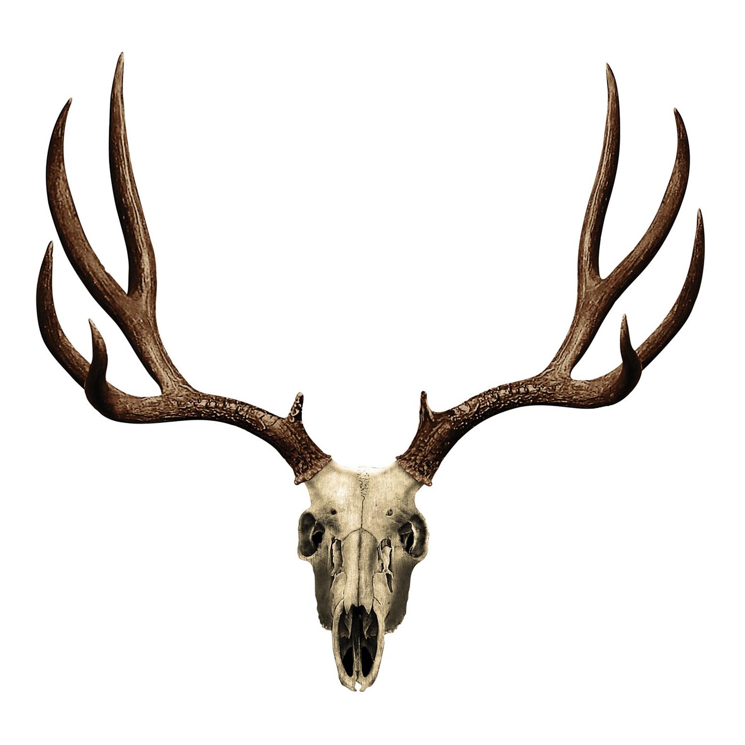 1500x1500 Huge Collection Of 'elk Skull Drawing' Download More Than