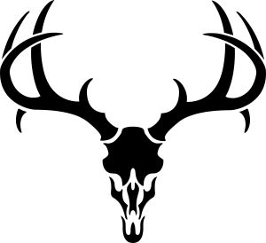 300x274 Whitetail Deer Skull Clipart