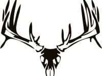 200x150 Deer Antlers Clipart Awesome Vintage Clip Art Deer With Antlers