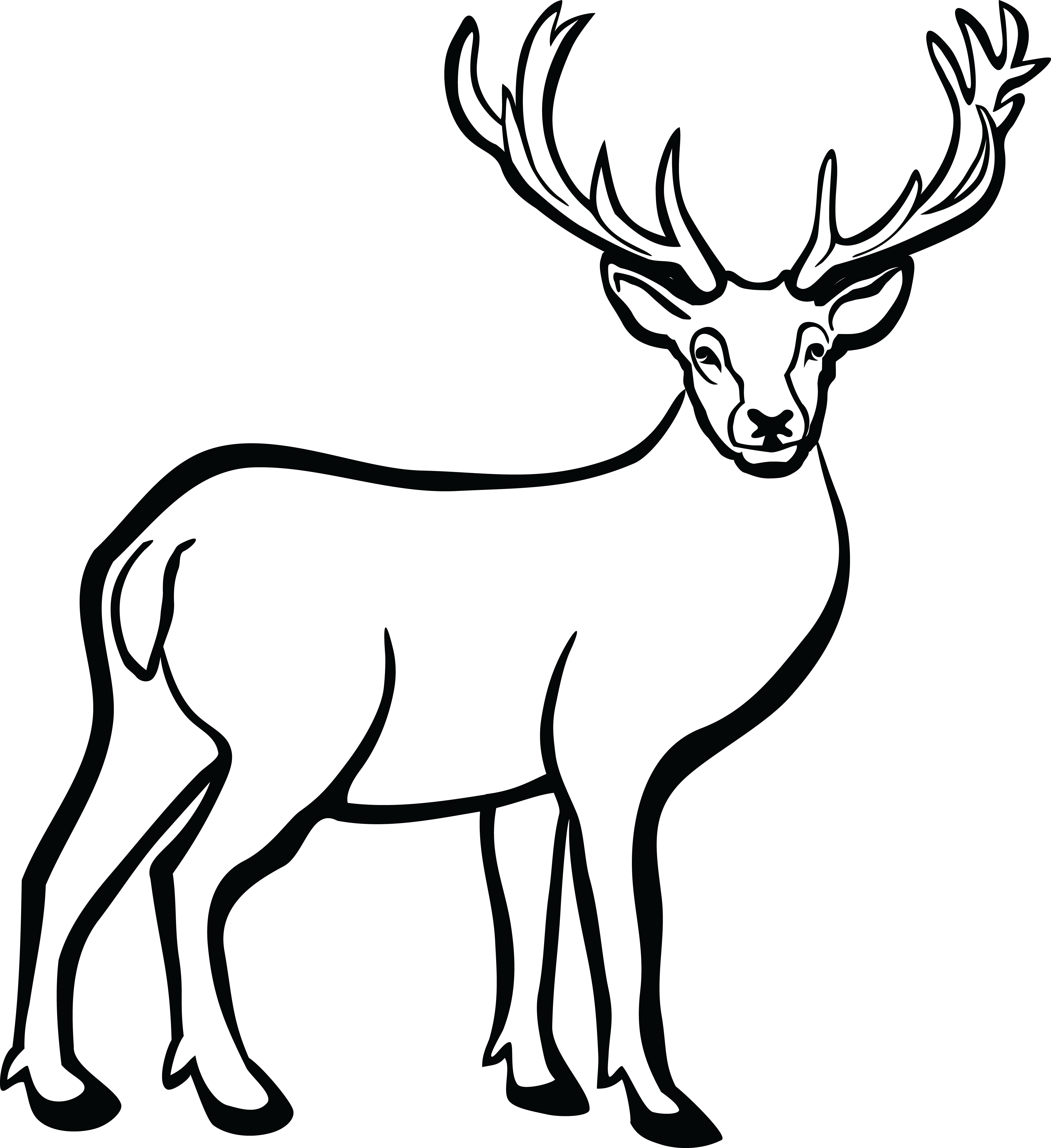 4000x4368 Drawing Antlers Deer Frames Illustrations Hd Images Photo