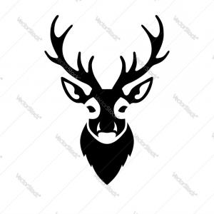 300x300 Hand Drawn Deer Antlers Vector Orangiausa