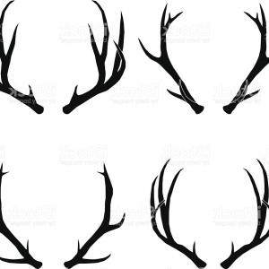 300x300 Hand Drawn Deer Antlers Vectors Gm Sohadacouri