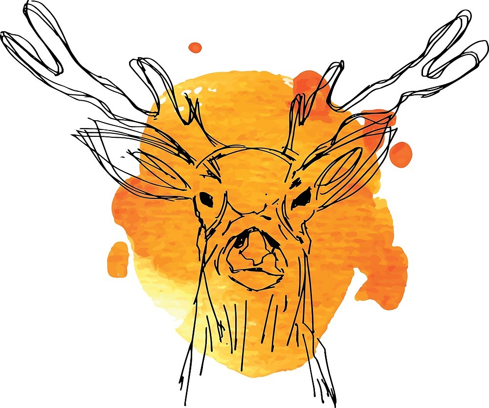 1000x835 Hand Drawn Deer With Antlers In Vintage Style