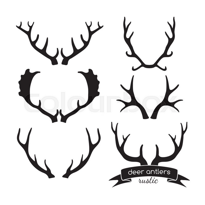 800x800 Hand Drawn Vintage Antlers Rustic Stock Vector Colourbox