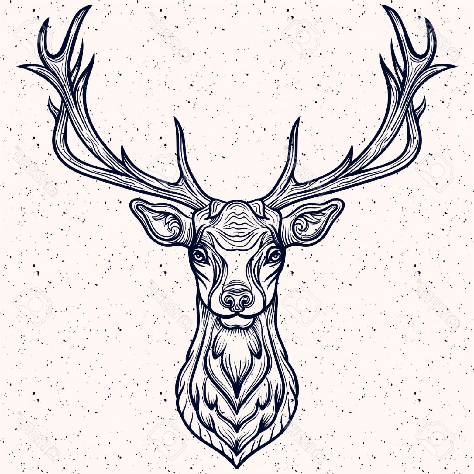 Deer With Antlers Drawing Free download on ClipArtMag