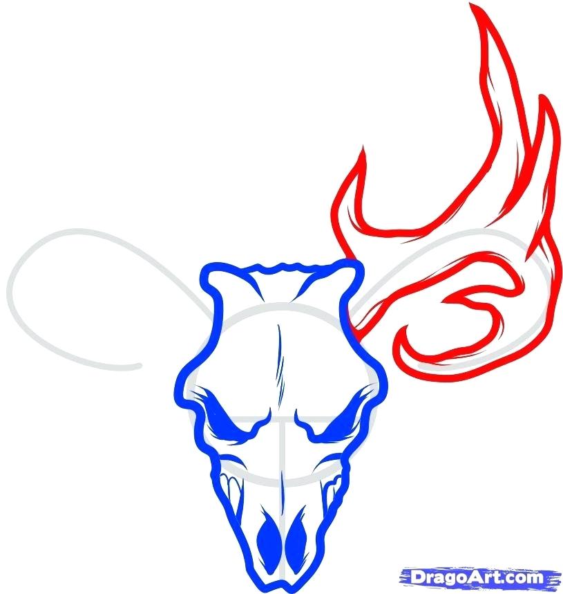 815x859 How Do You Draw A Deer