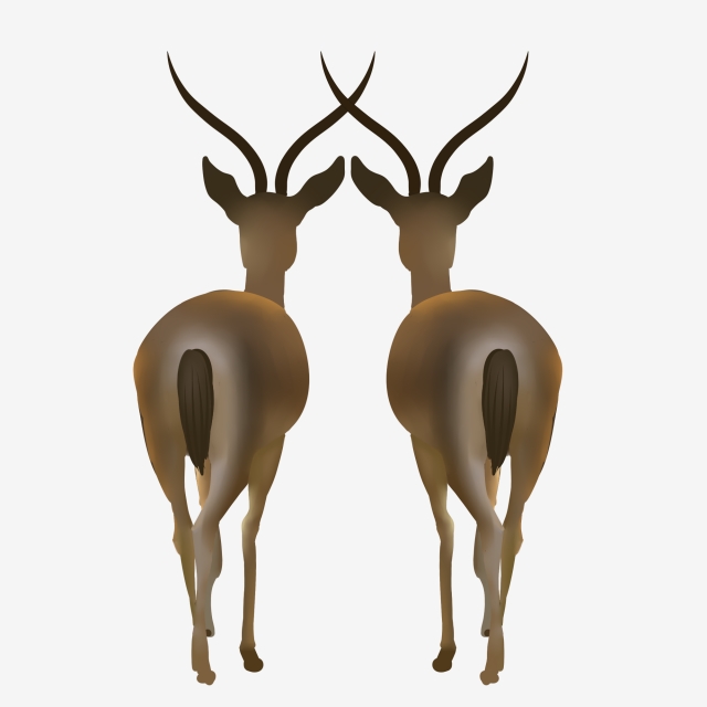640x640 Beautiful Back Long Antlers Cartoon Illustration Hand Drawn Love