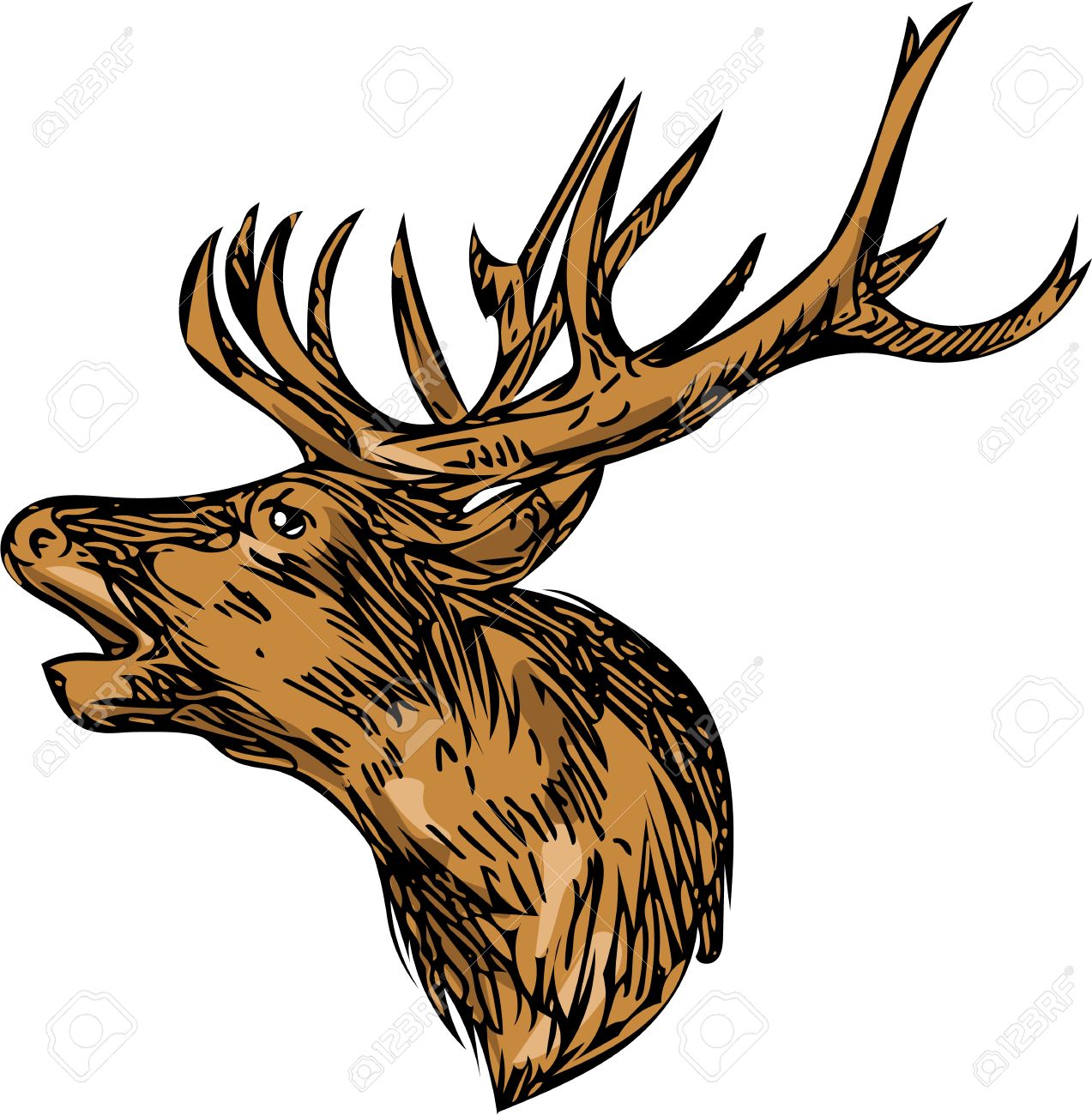 1273x1300 Buck Antlers Bucky Barnes Cute Duck Draw Converter And Doe