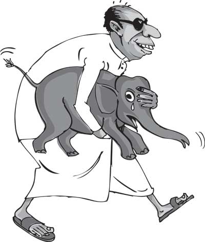 400x473 Daily Mirror