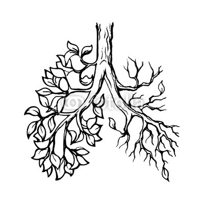 400x400 Deforestation Is One Of The Most Acute Environmental Problems