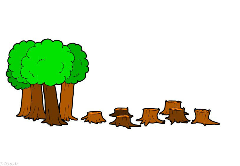 816x566 Image Deforestation