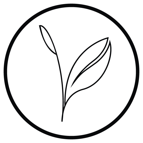 600x600 Kijani Forestry Combatting Deforestation Through Innovative