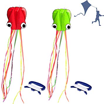 355x355 Huge Rainbow Delta Kite