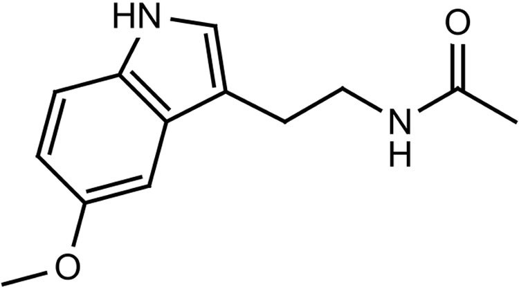 750x418 Rhythms Of The Night