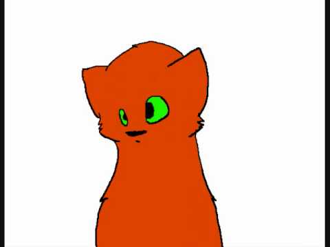 480x360 Leather Sleeves