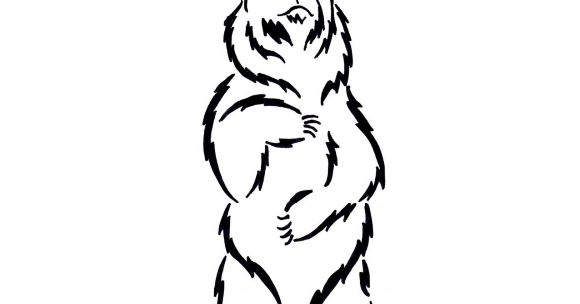 1164x611 Standing Bear Drawing Cute Wallpapers
