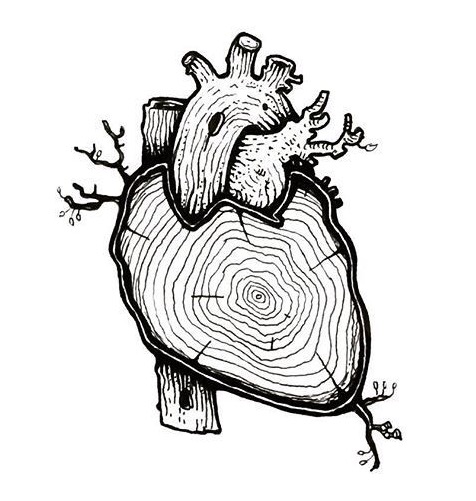 476x501 Collection Of Free Arangoes Clipart Sketches Download On Ui Ex