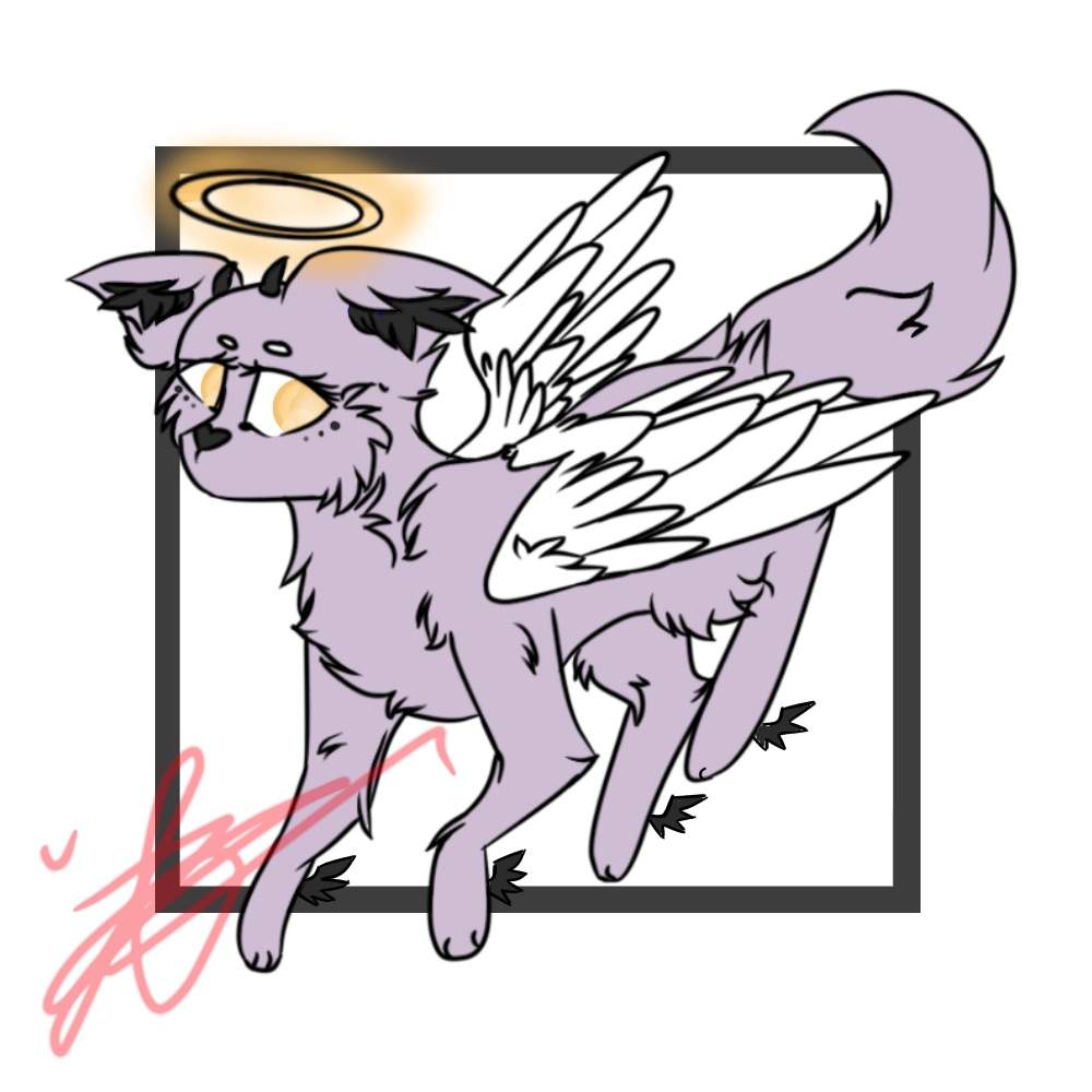 1000x1000 Open Demonic Angel Dog Ota Hq Adopts Amino