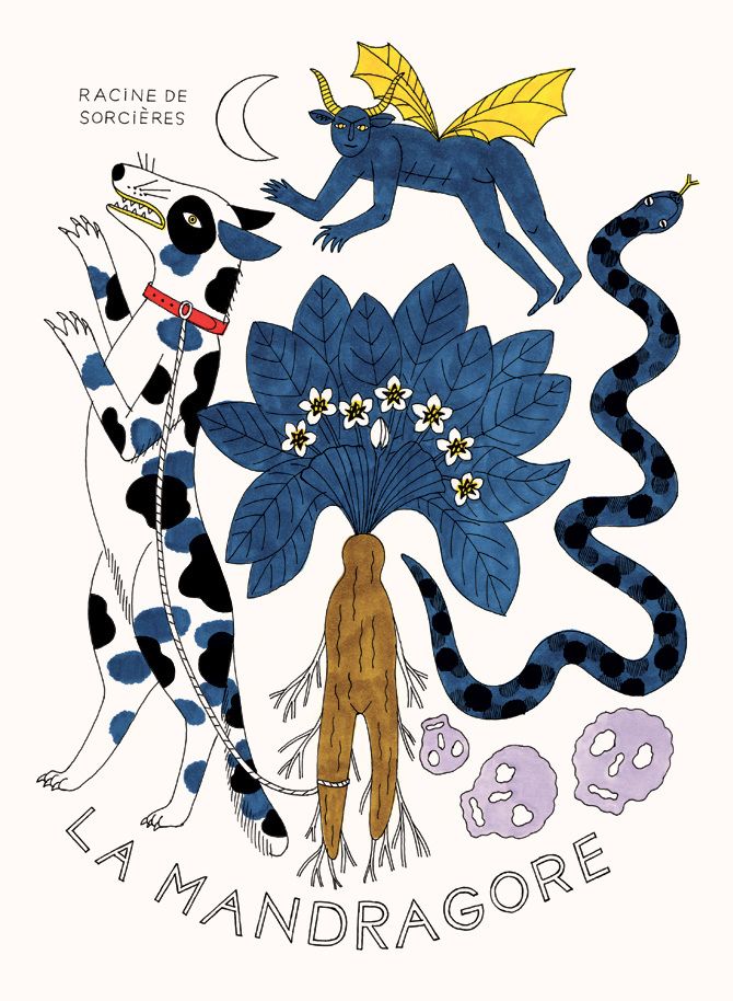 670x914 The Art Of Fontaine, Botanic Illustration, Drawing Of A Dog