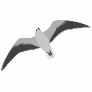 320x320 Hd Drawing Clip Art Transprent Png Free Download