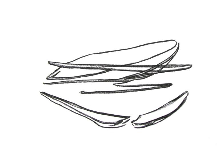 770x514 Untitled Drawing