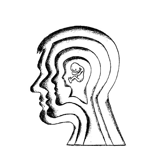 550x550 depth of growth posters