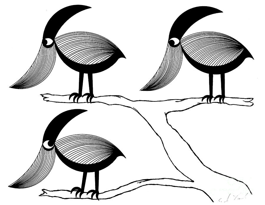 900x695 bird depth drawing