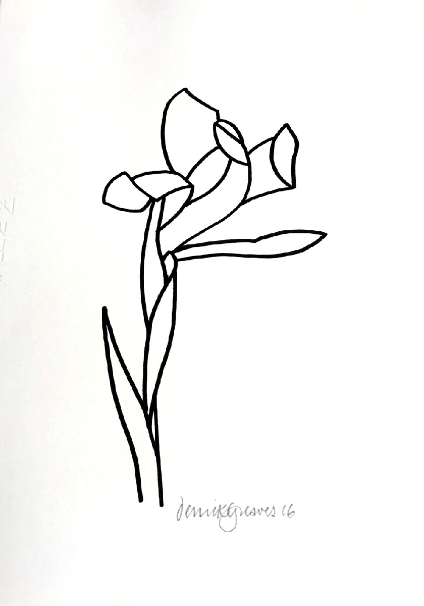 840x1200 Iris Drawing