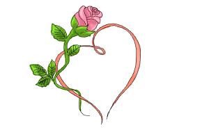 300x200 How To Draw Rose Step