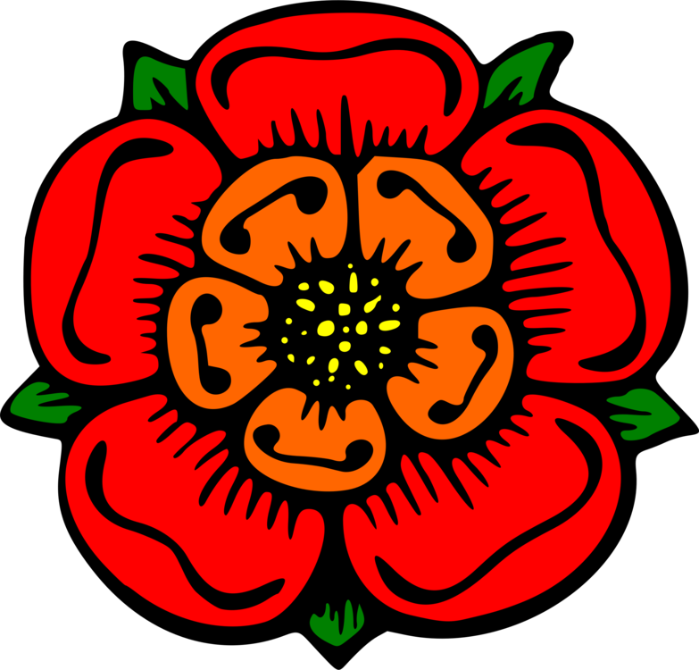 783x750 Flower Rose Drawing Color Description Cc0