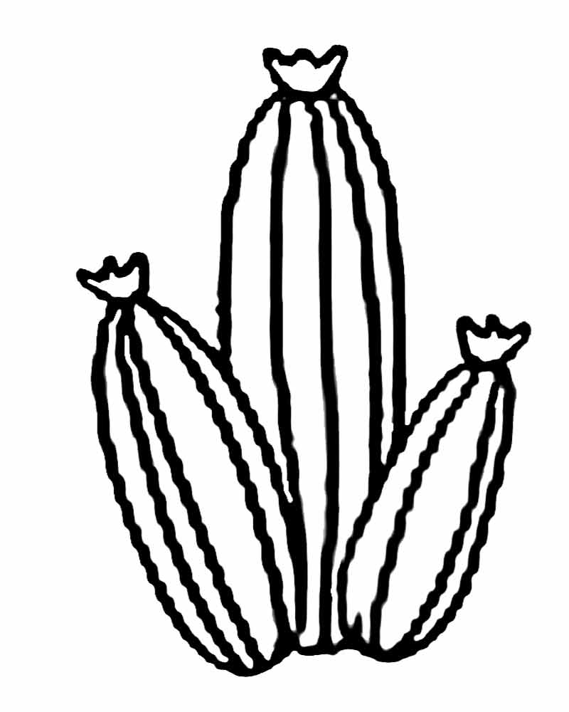 800x1000 Coloring Pages Of Sand Desert Animals And Plants Fascinating