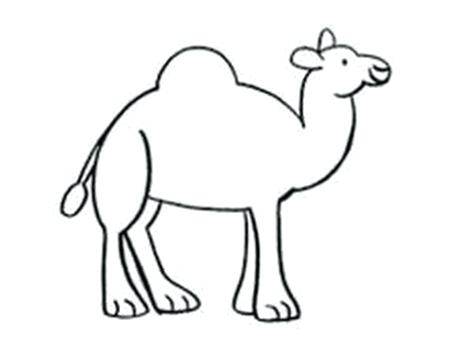 462x360 steps to draw a camel how to draw a camel steps to draw a cartoon