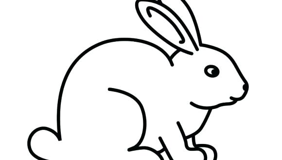 580x329 Animal Drawings Easy