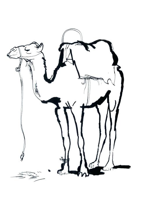 500x707 Drawing Of A Camel