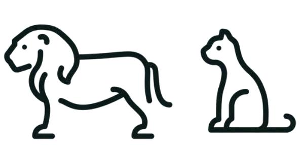 600x317 Easy Ways To Draw Animals