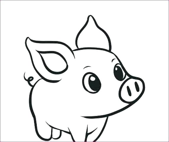 572x482 Animal Drawings For Beginners How To Learn To Draw Realistic